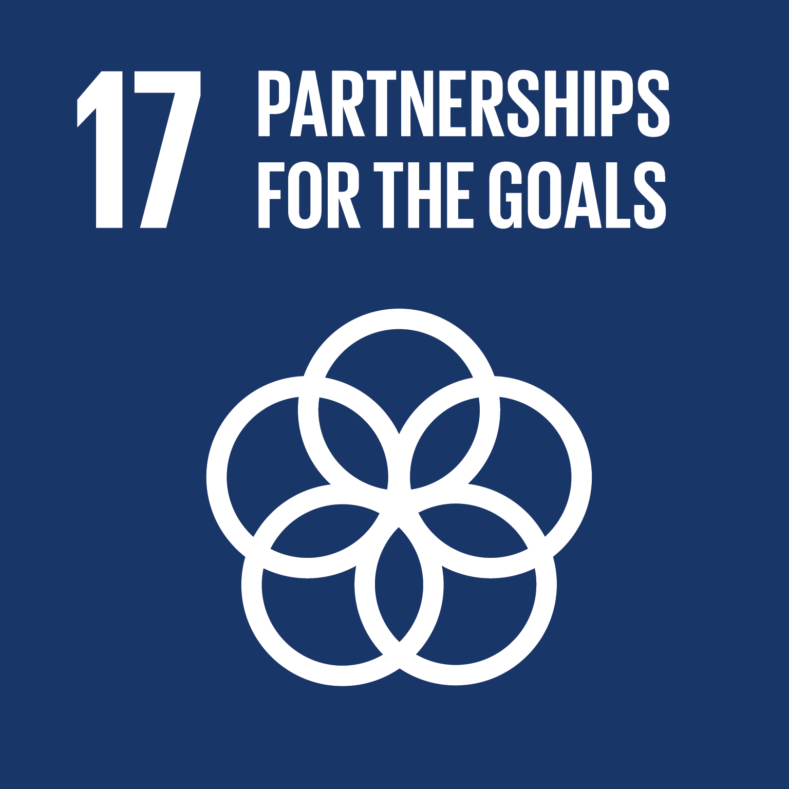 Goal 17: Partners for These Goals, the text of this infographic is listed below