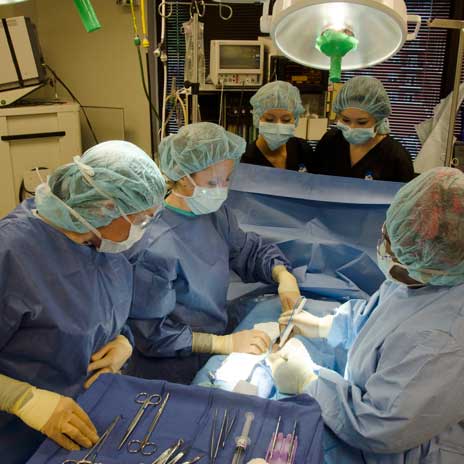 Overhead view of doctors, nurses and surgical techs practicing surgery.