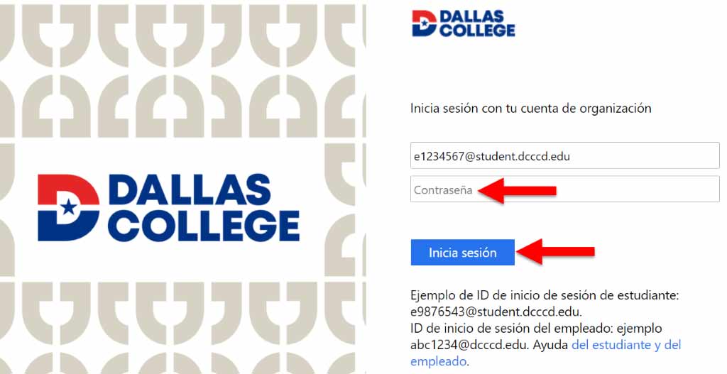 Captura de pantalla de la página de inicio de sesión de la cuenta organizativa de Dallas College. El campo de contraseña y el botón Iniciar sesión se resaltan.